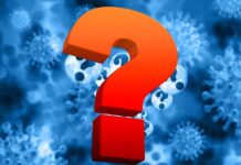 ¿Cuáles son los Principales Tipos de Impuestos? ¿Qué es una variable nominal?