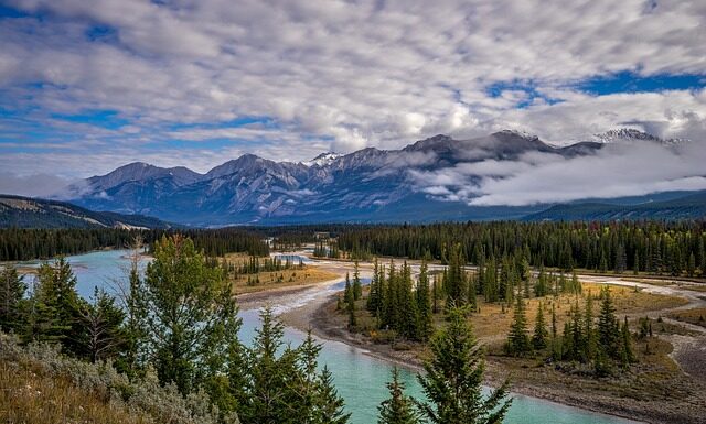 ¿Qué Empleos se Necesitan en Canadá? Inicio