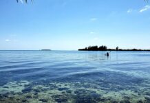 ¿Cuánto cuesta comprar una isla privada? ¿Cuánto cuesta comprar una isla privada?