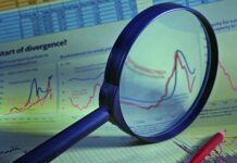 ¿Qué son los Organismos Supervisores y por Qué son Vitales para el Sistema Financiero? ¿Qué son los Organismos Supervisores y por Qué son Vitales para el Sistema Financiero?