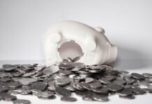 ¿Qué Tipos de Bancos Existen y Cuál es el Adecuado para Ti? ¿Qué Tipos de Bancos Existen y Cuál es el Adecuado para Ti?