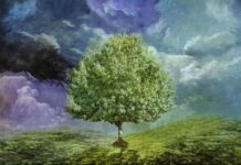 ¿Cómo se Aplica la Metáfora del Árbol a la Economía? ¿Cómo se Aplica la Metáfora del Árbol a la Economía?